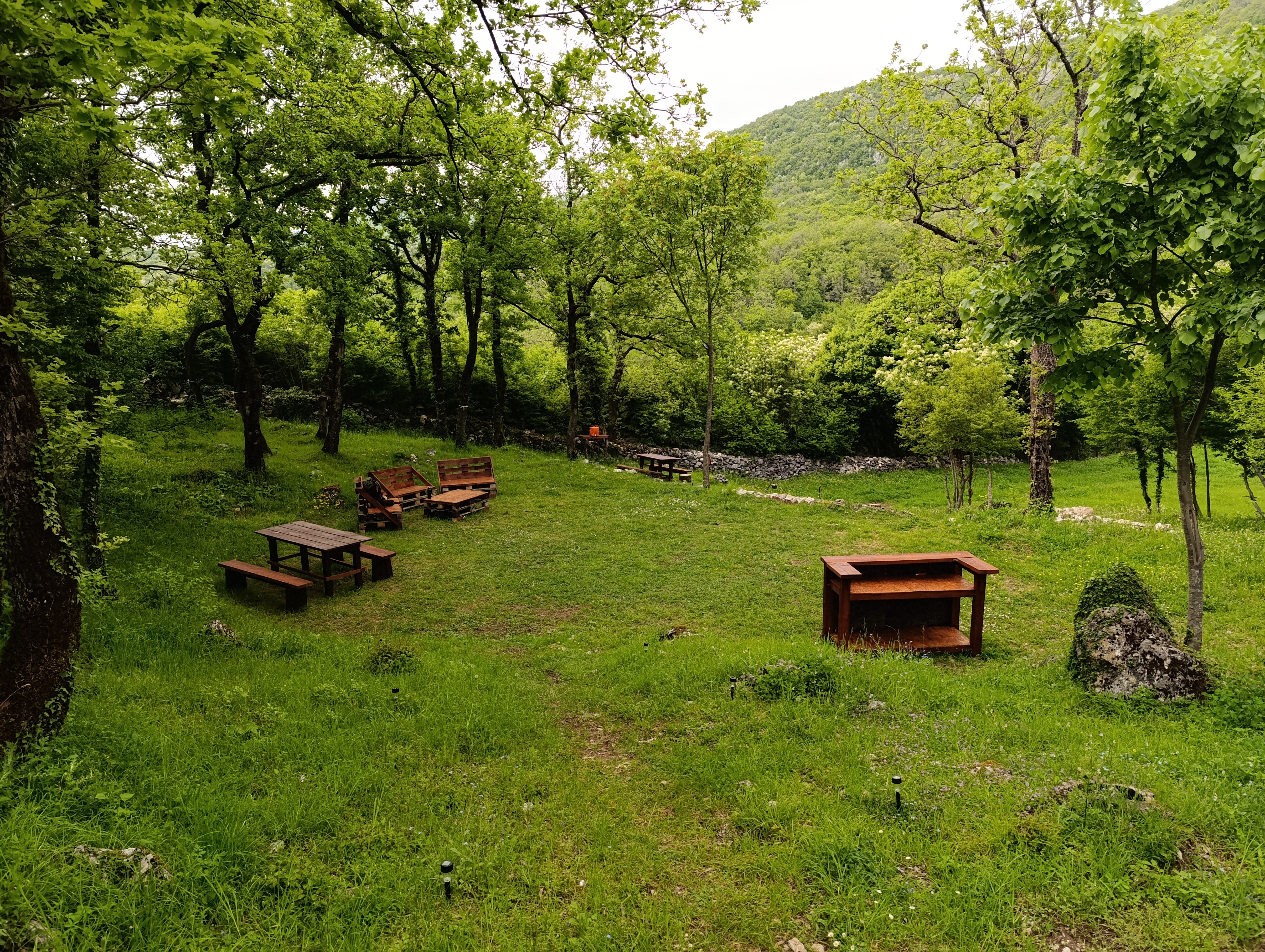 MRTVICA photo 4