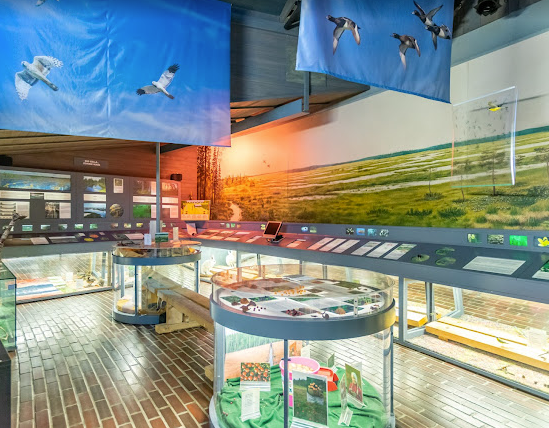 Napapiiri Café - Karhunkierros Visitor Centre photo 5