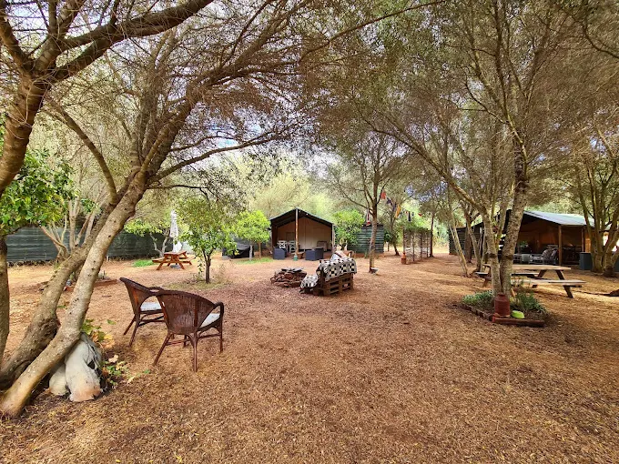Naturally Cool Glamping