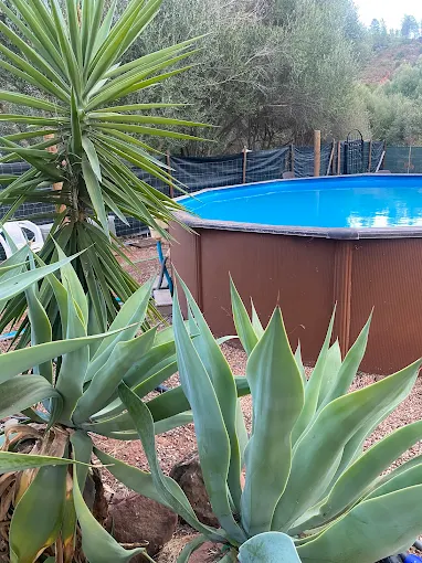 Naturally Cool Glamping photo 2