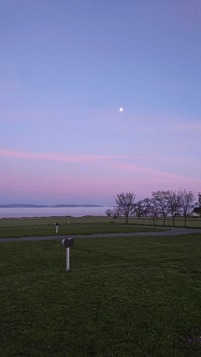 Ørland Camping photo 5