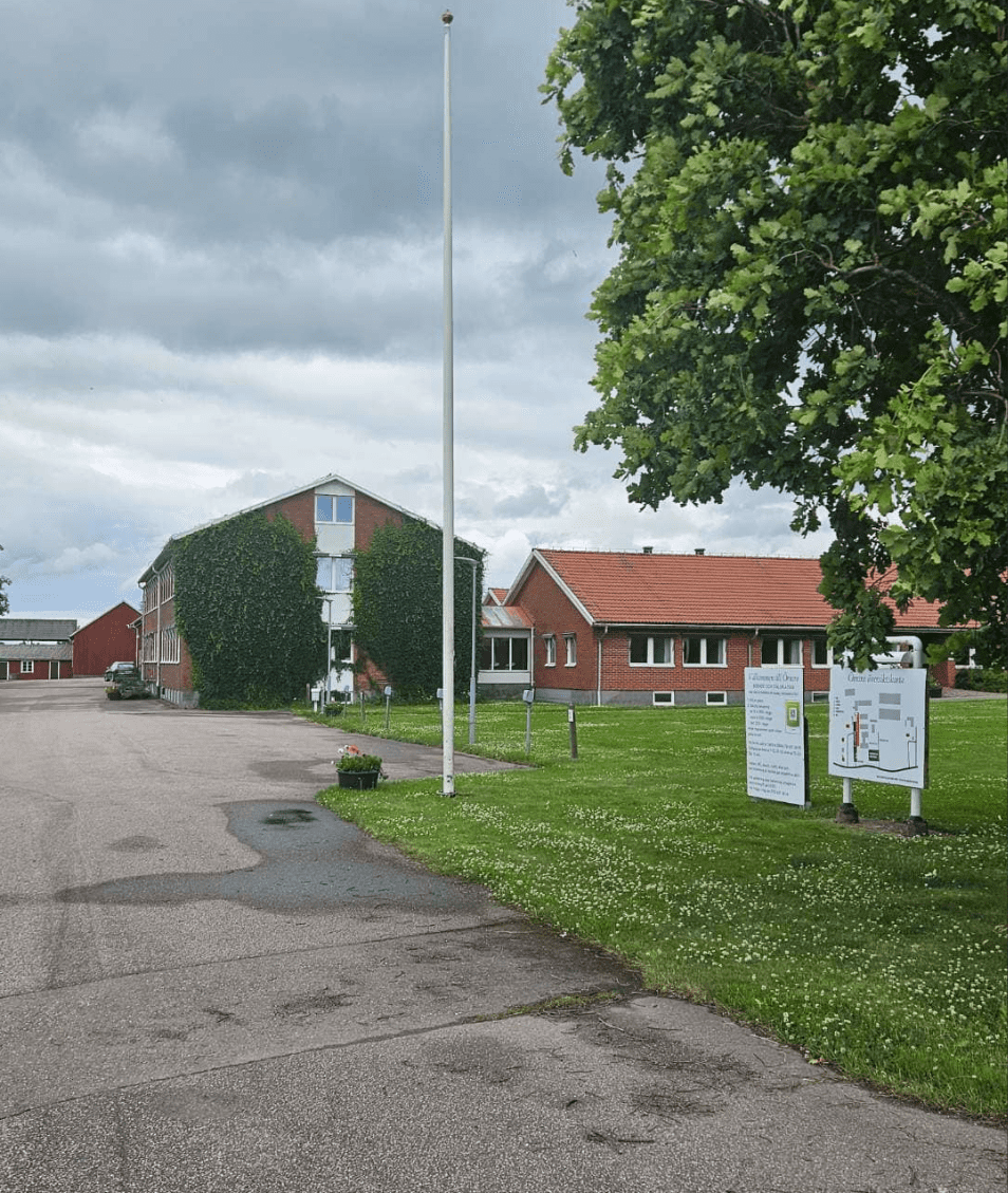 Örnsro Ställplatser & Camping photo 4