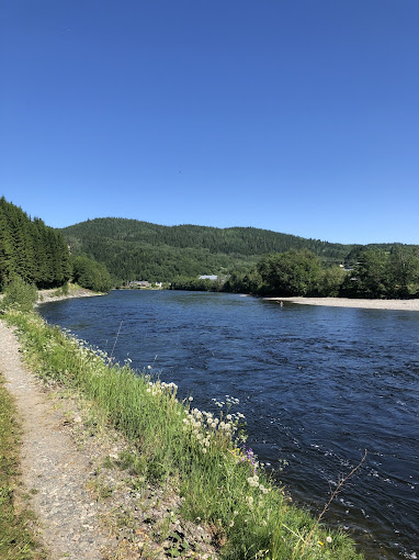 Østnes Camping photo 3