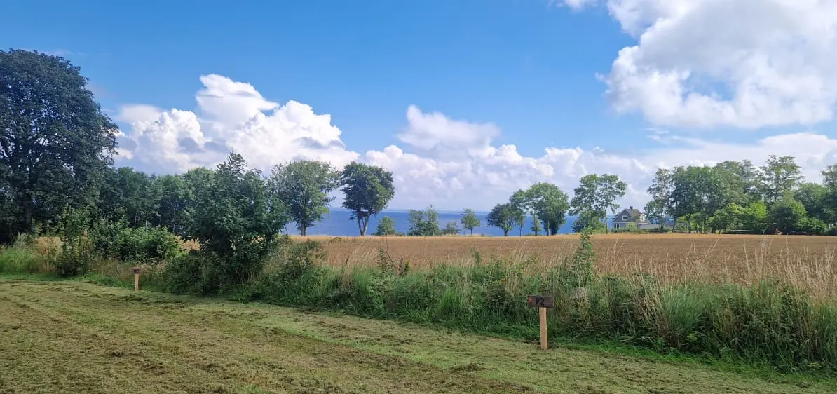 Övre Kattvik photo 5