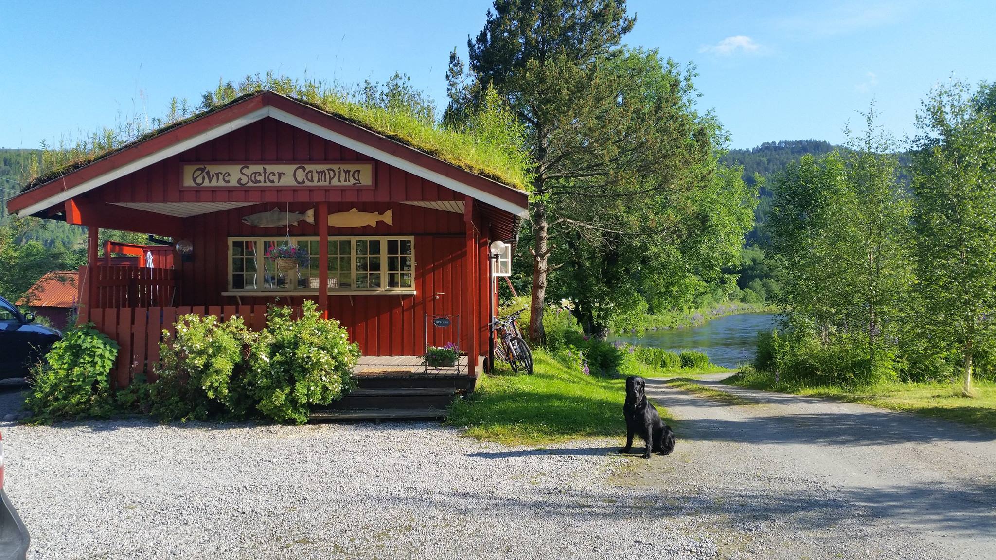 Øvre Sæter Fiskecamp photo 4