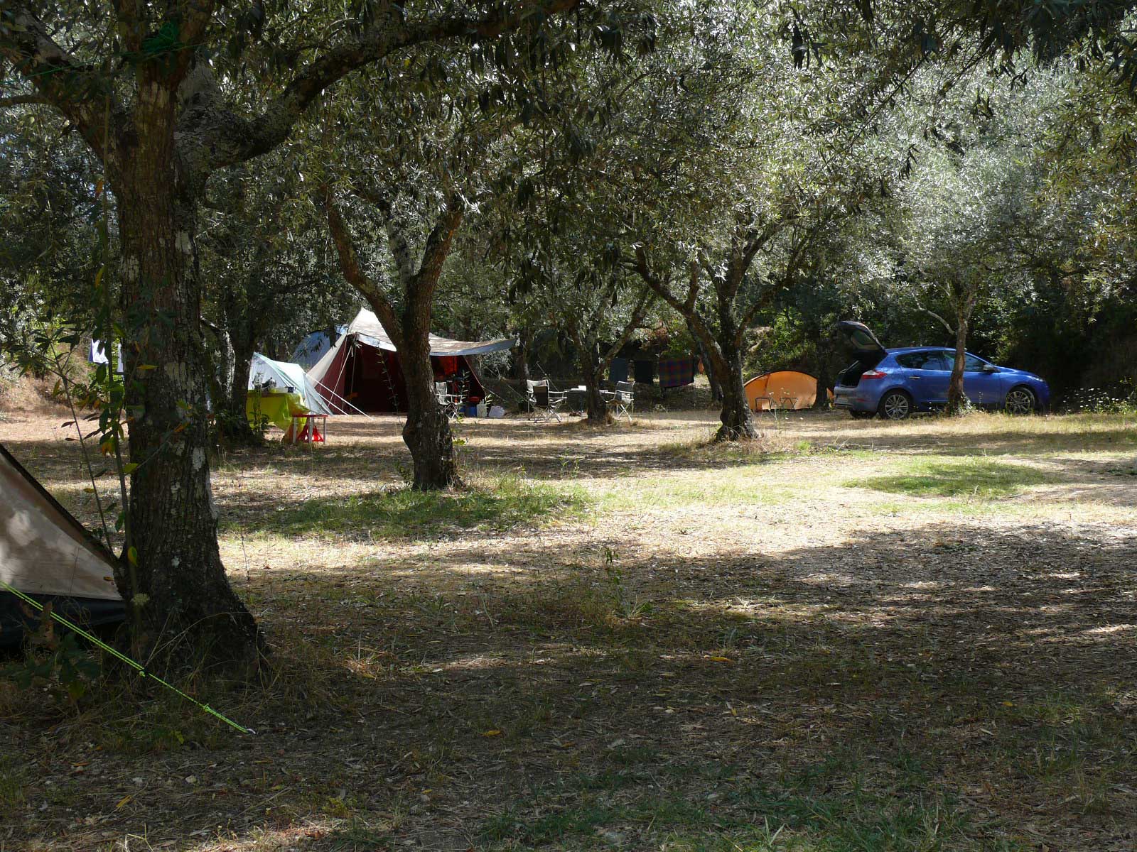 Quinta da Cerca photo 3