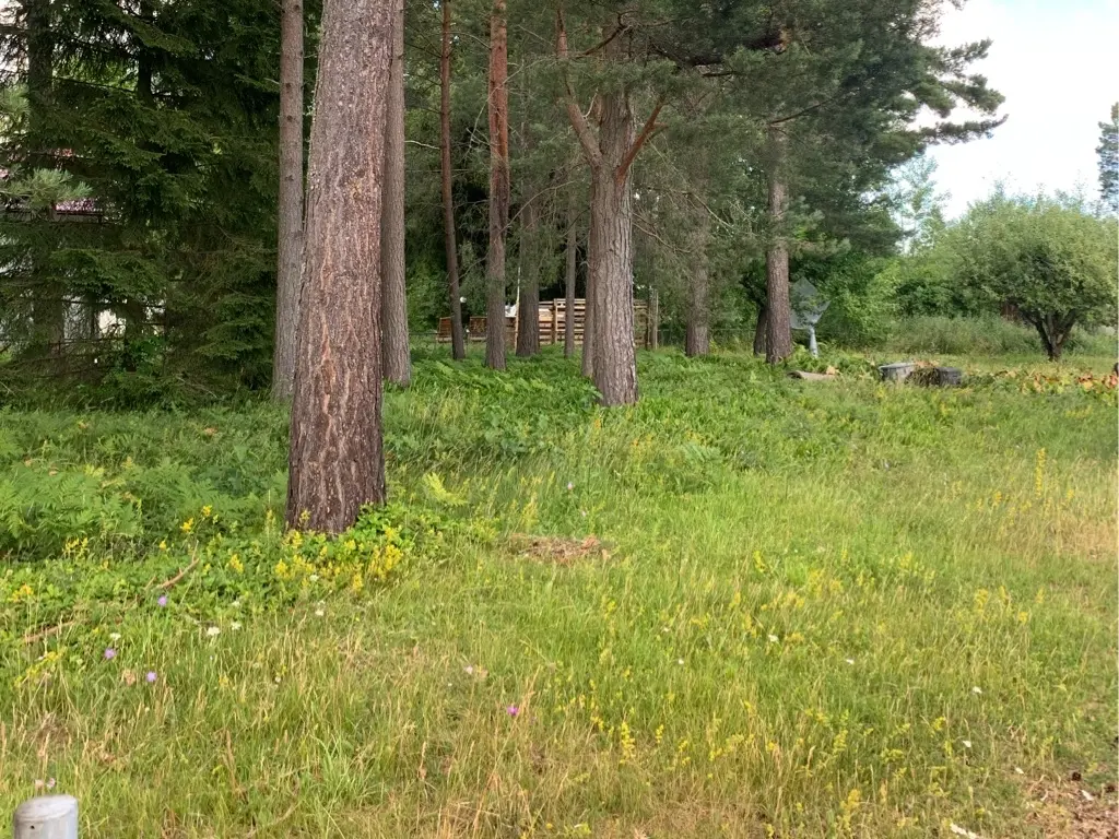 Restingplace photo 4