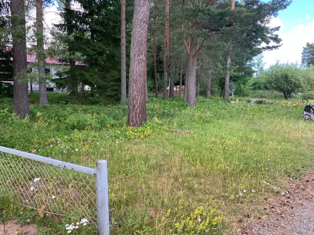Restingplace photo 5