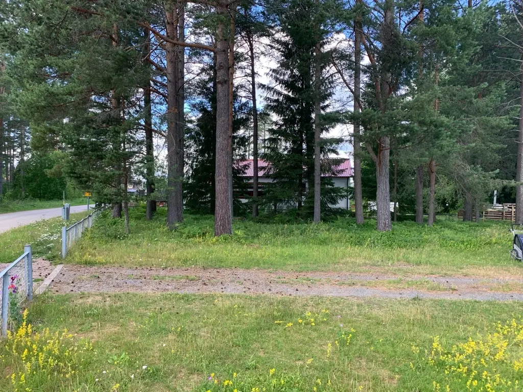 Restingplace photo 2