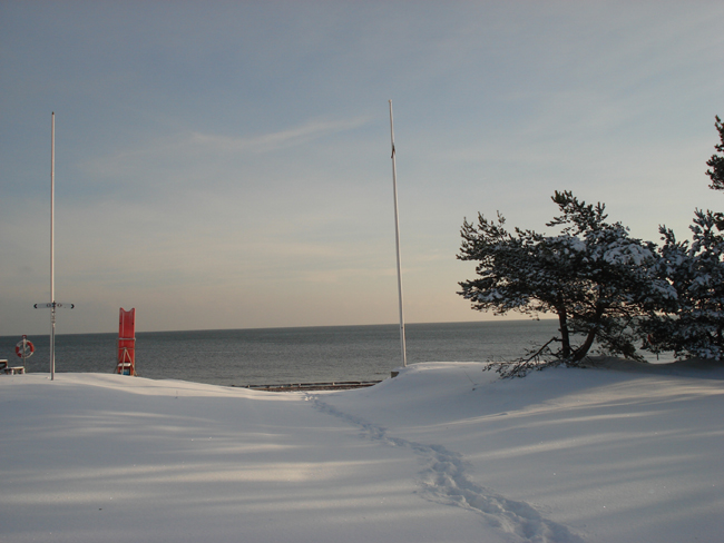 Rigelejestrand Camping photo 5
