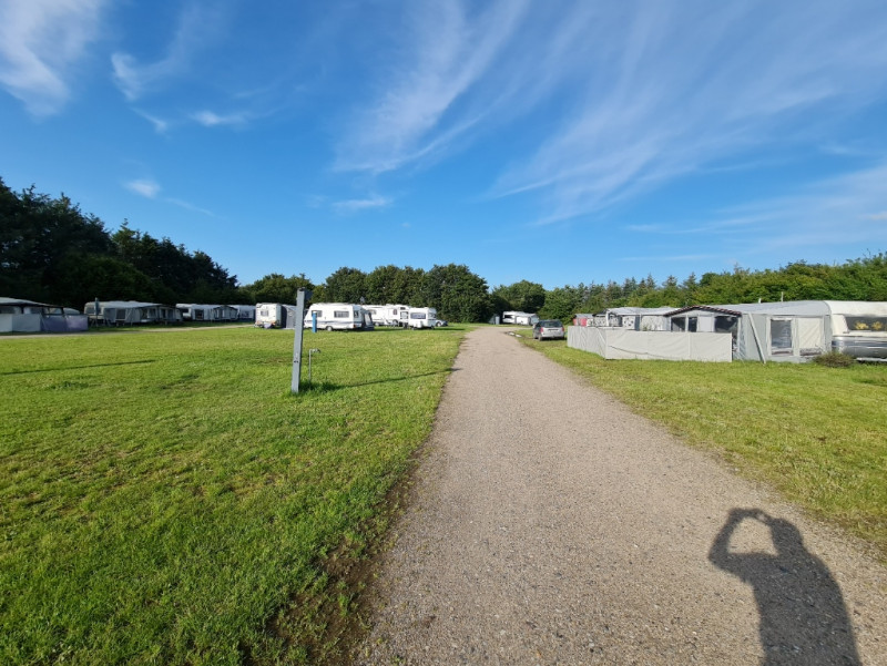 Rødekro Fiskepark photo 4
