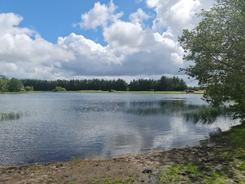 Rødekro Fiskepark photo 2