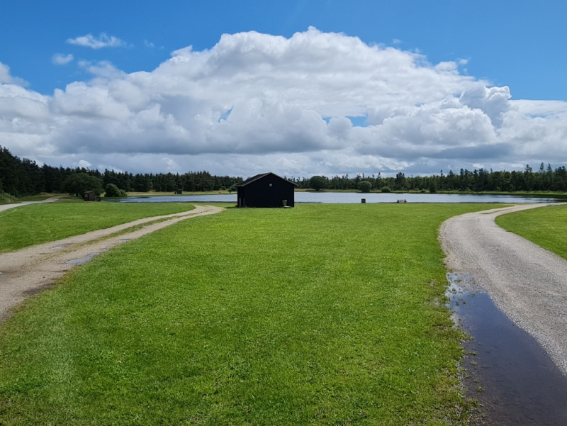 Rødekro Fiskepark photo 5