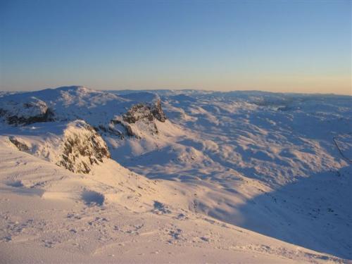 Røldal Hyttegrend & Camping photo 5