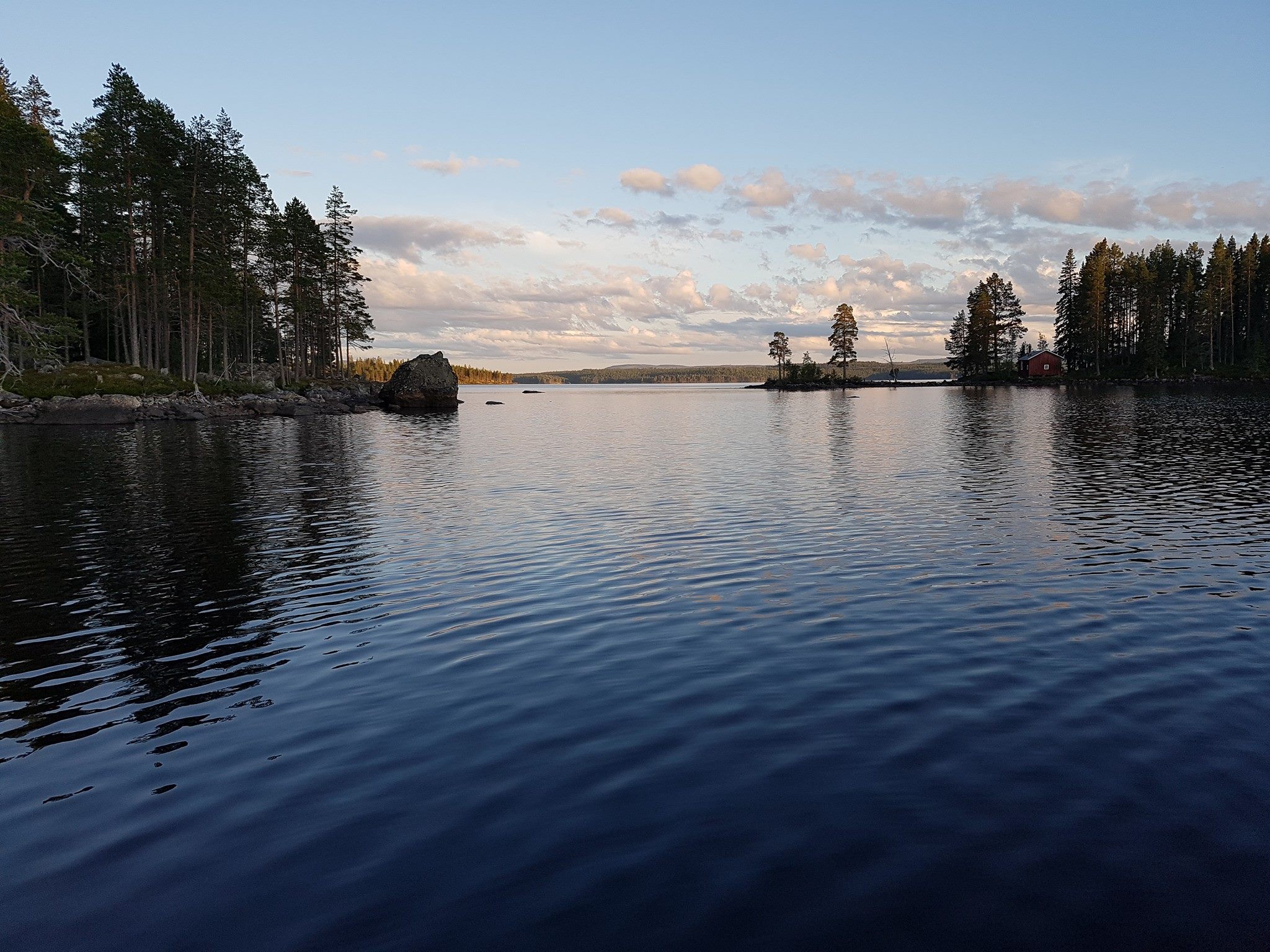 Rötvikens Camping photo 5