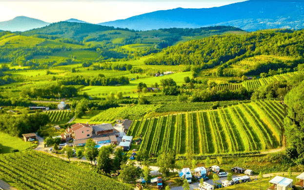 Saksida Wine & Camping Resort - Book & collect bonus nights | Campcation