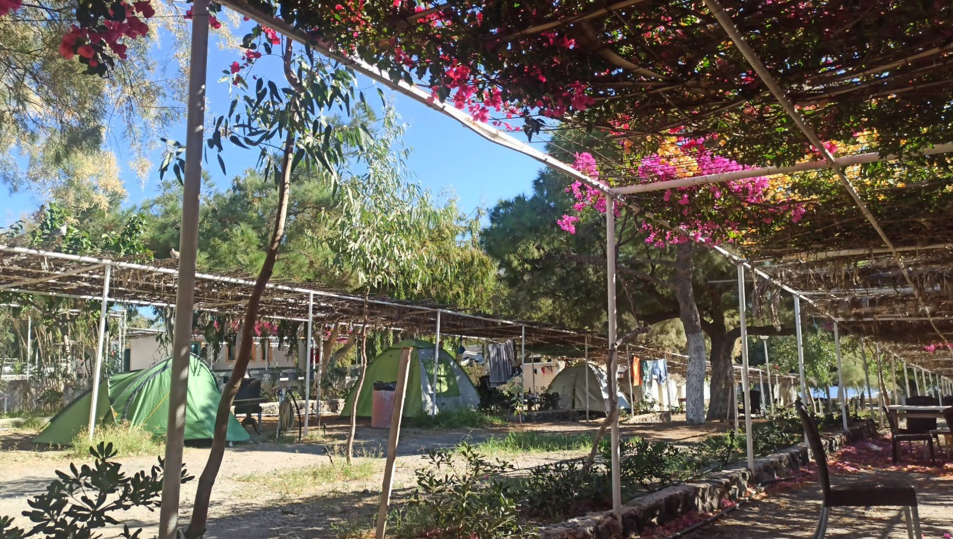Santorini Camping photo 3