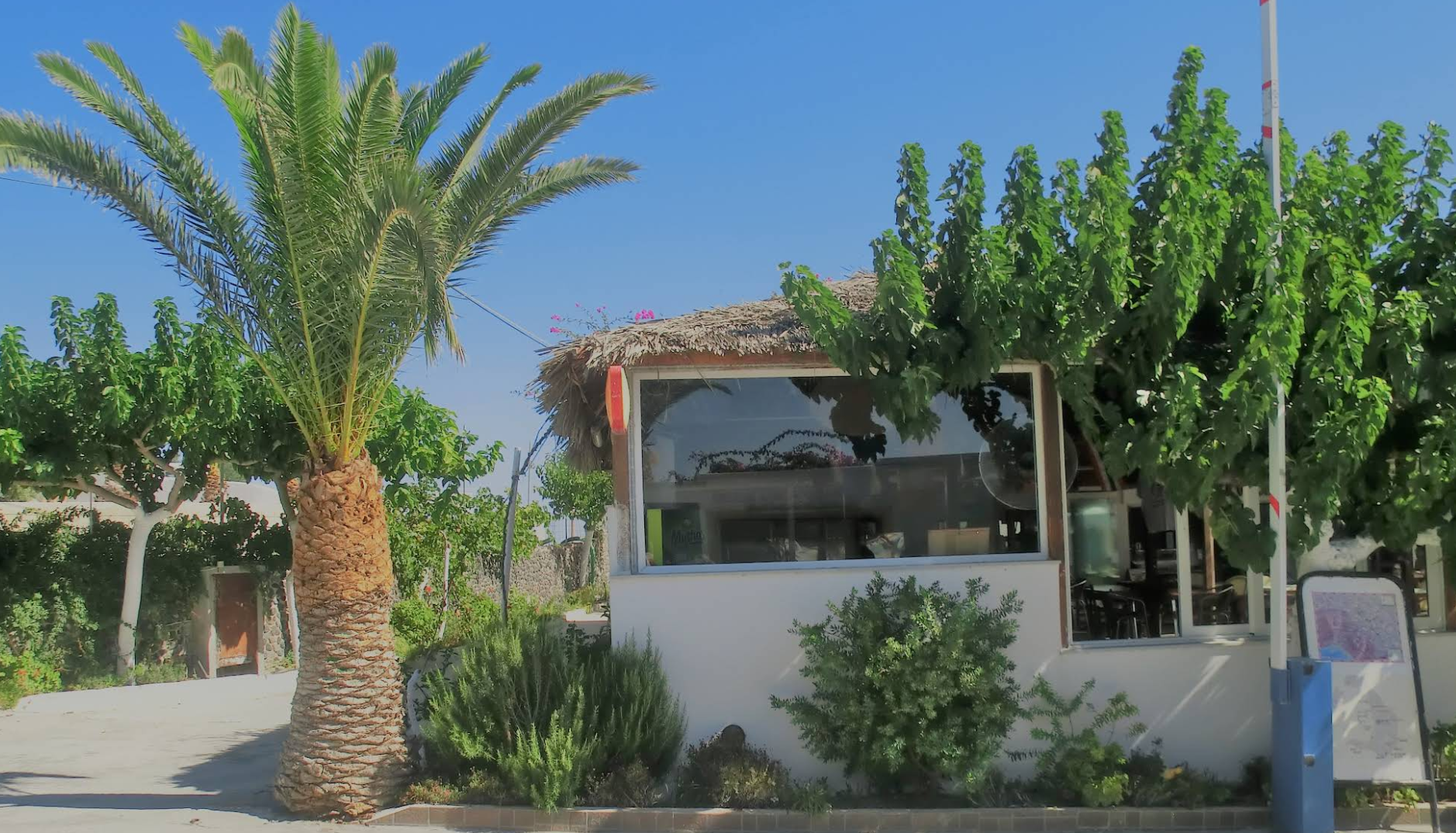 Santorini Camping photo 4