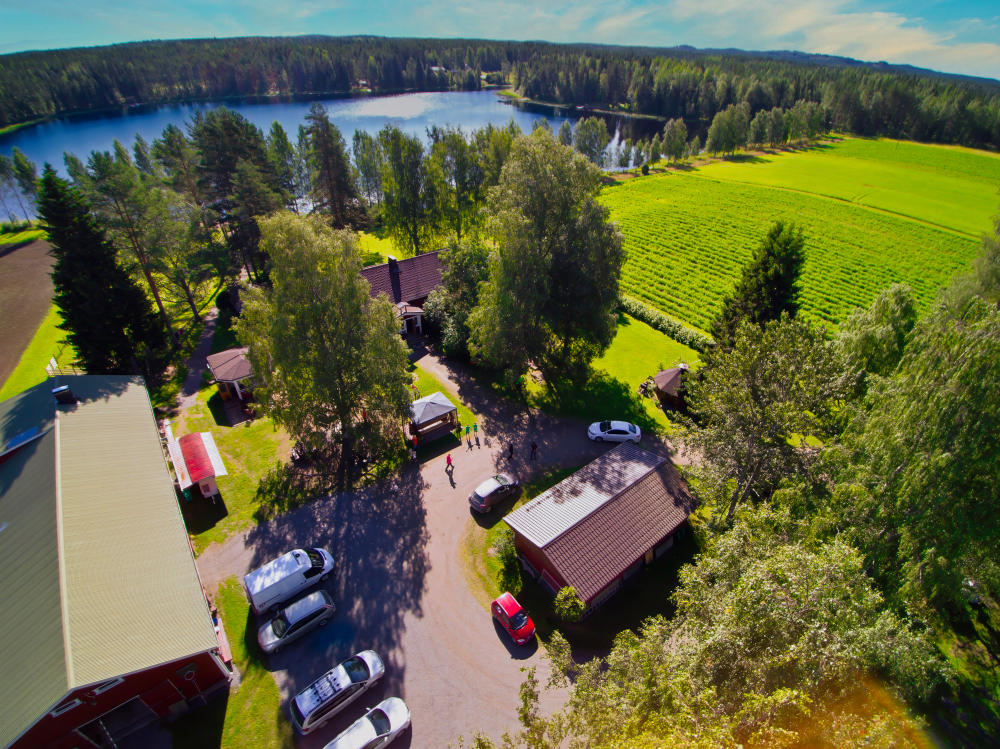 Särkilammin Marjatila