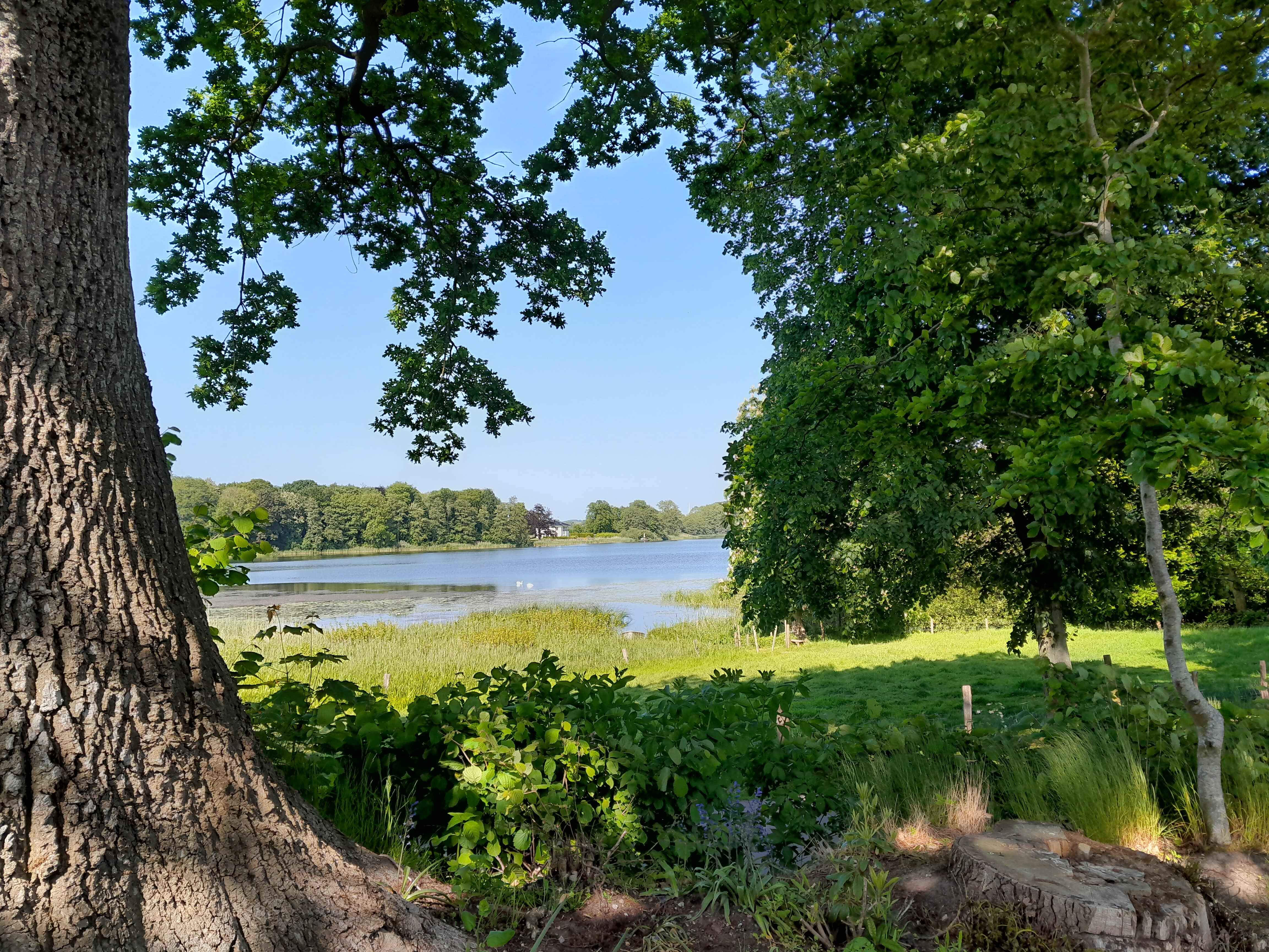 Seeblick Jürgenshagen photo 4