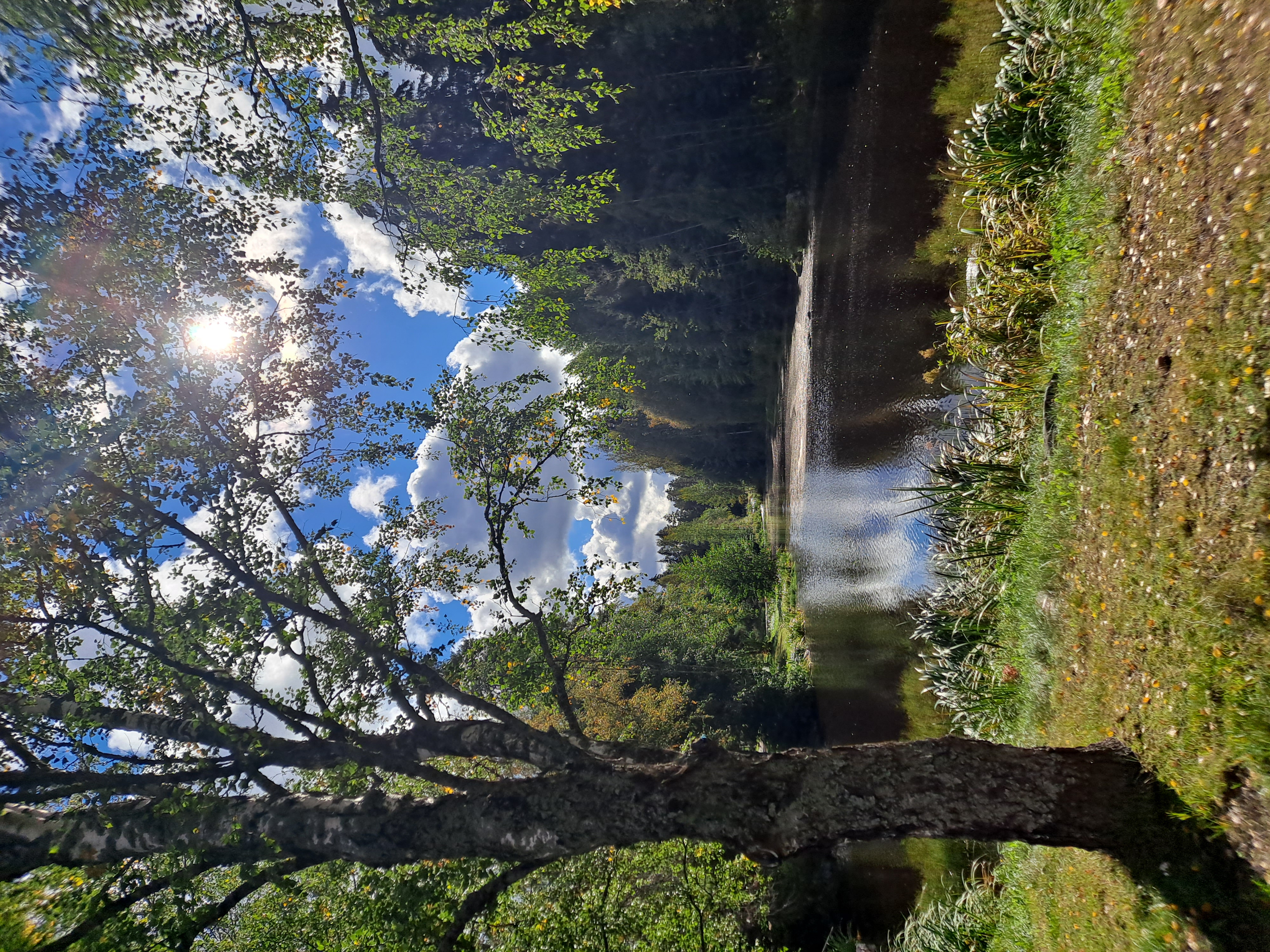 Seinäjoki Camping photo 5