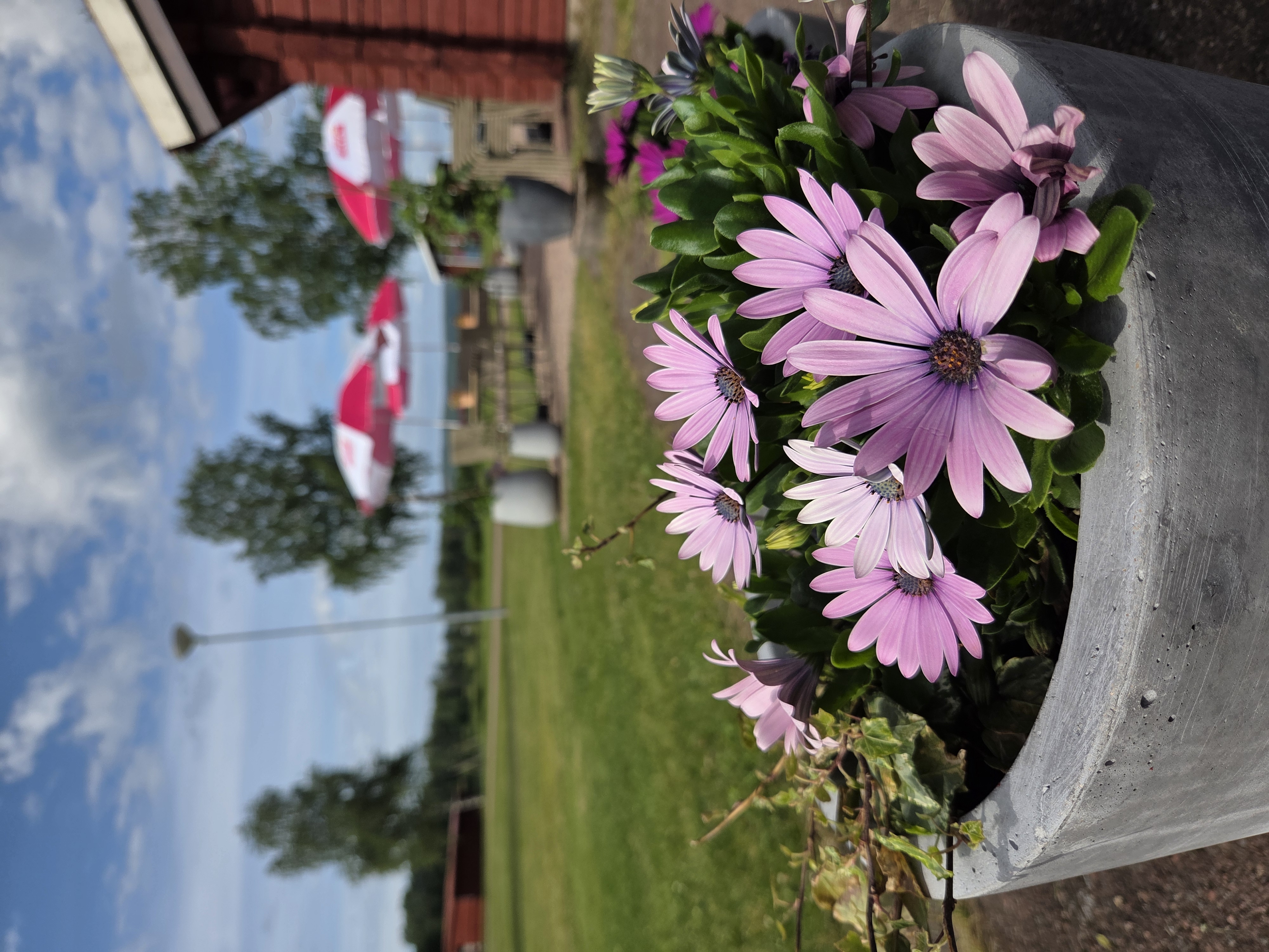 Siljansnäs Camping