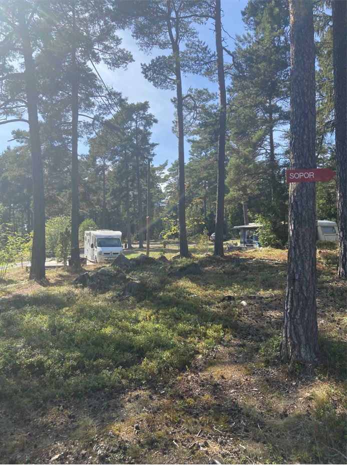 singo-camping