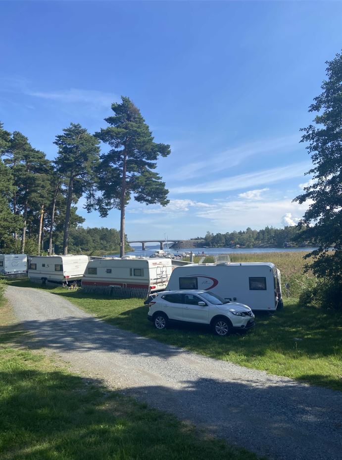 singo-camping