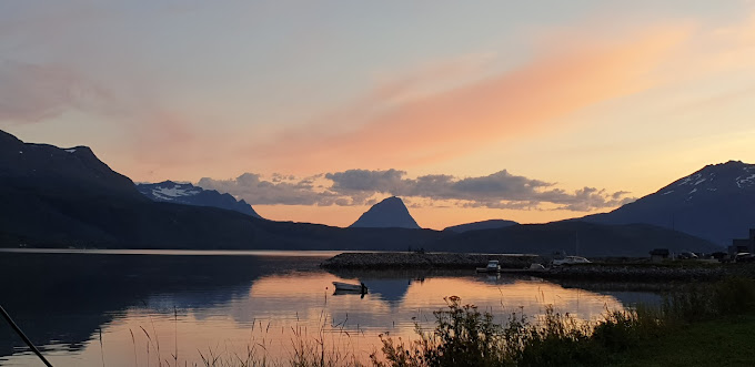 Sjøvegan bobilcamp photo 4