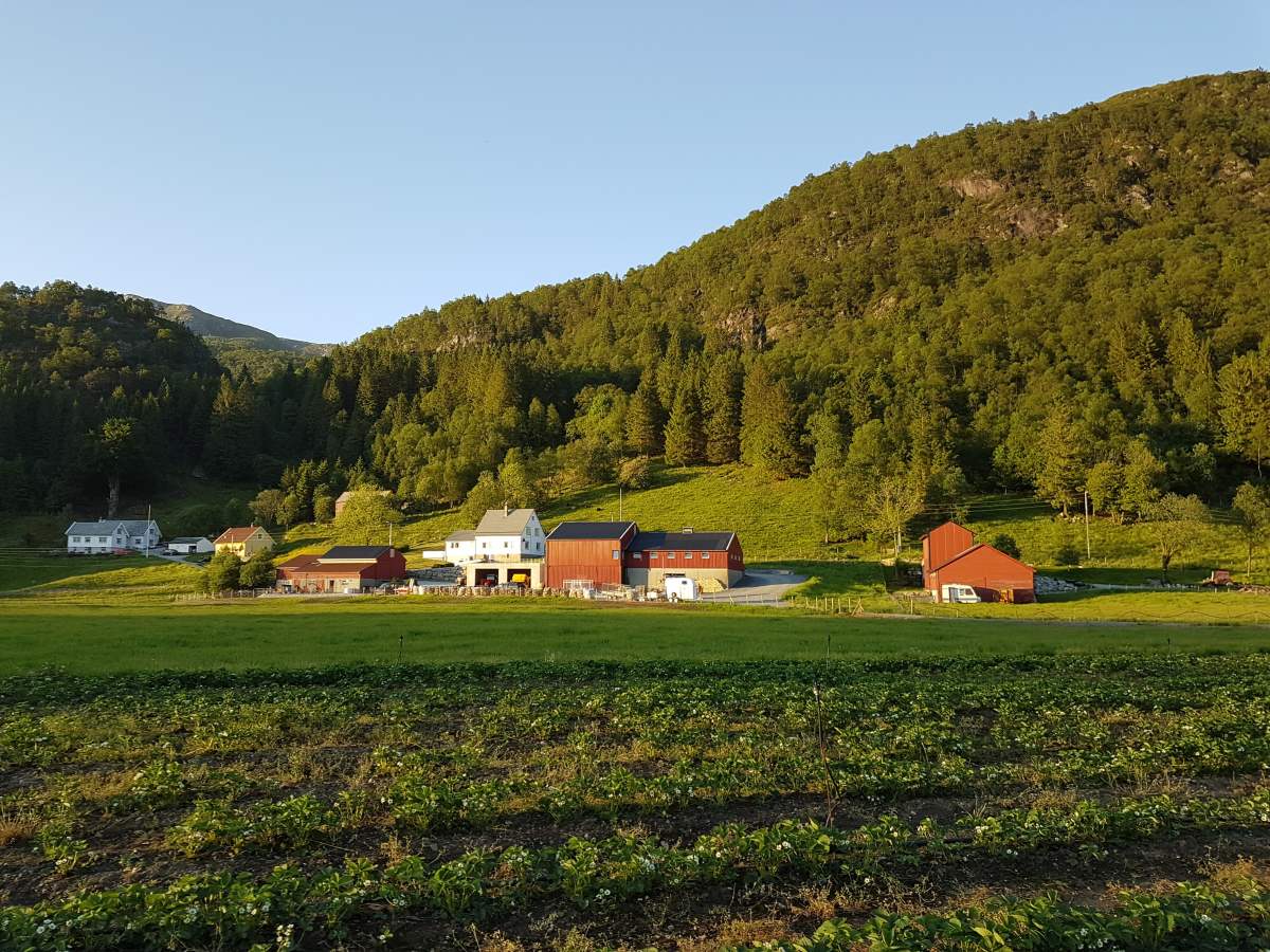 solneset-gard