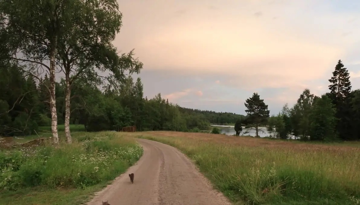 Spångens Camping photo 3