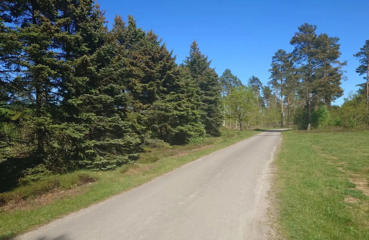 Sjöbo, Väla skogsväg photo 2