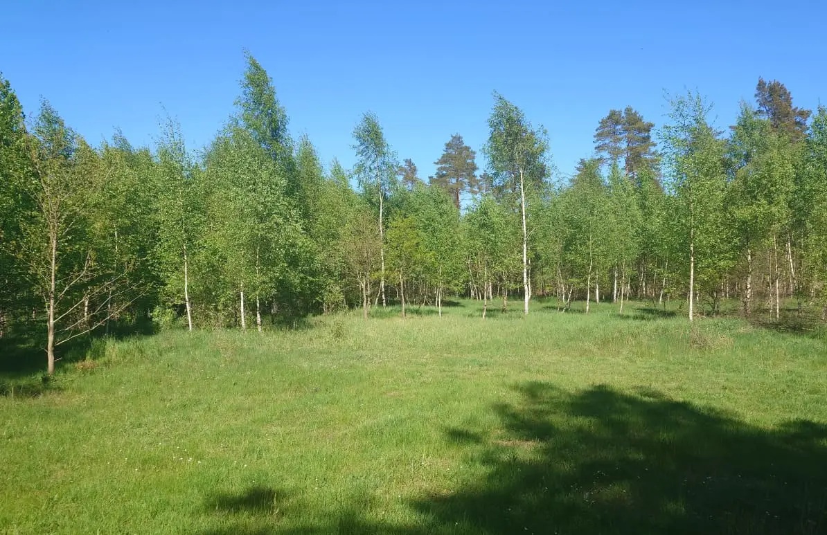 Sjöbo, Väla skogsväg photo 3