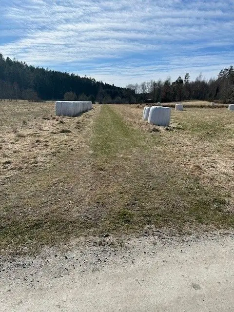 Stämmen photo 4