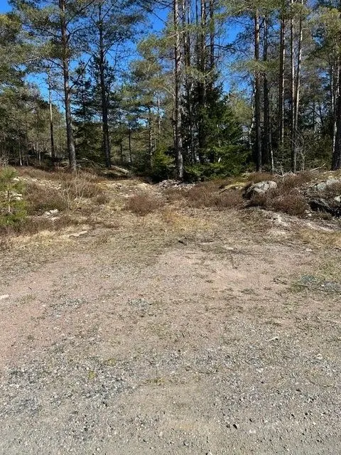 Stämmen photo 3