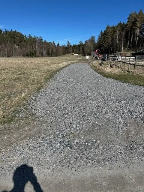 Stämmen photo 2