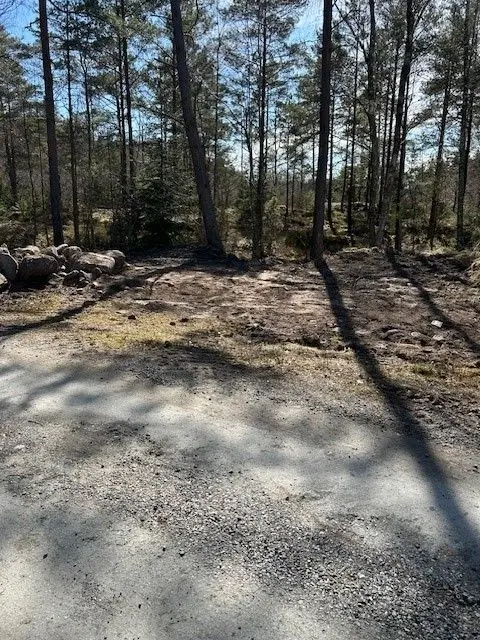 Stämmen photo 5