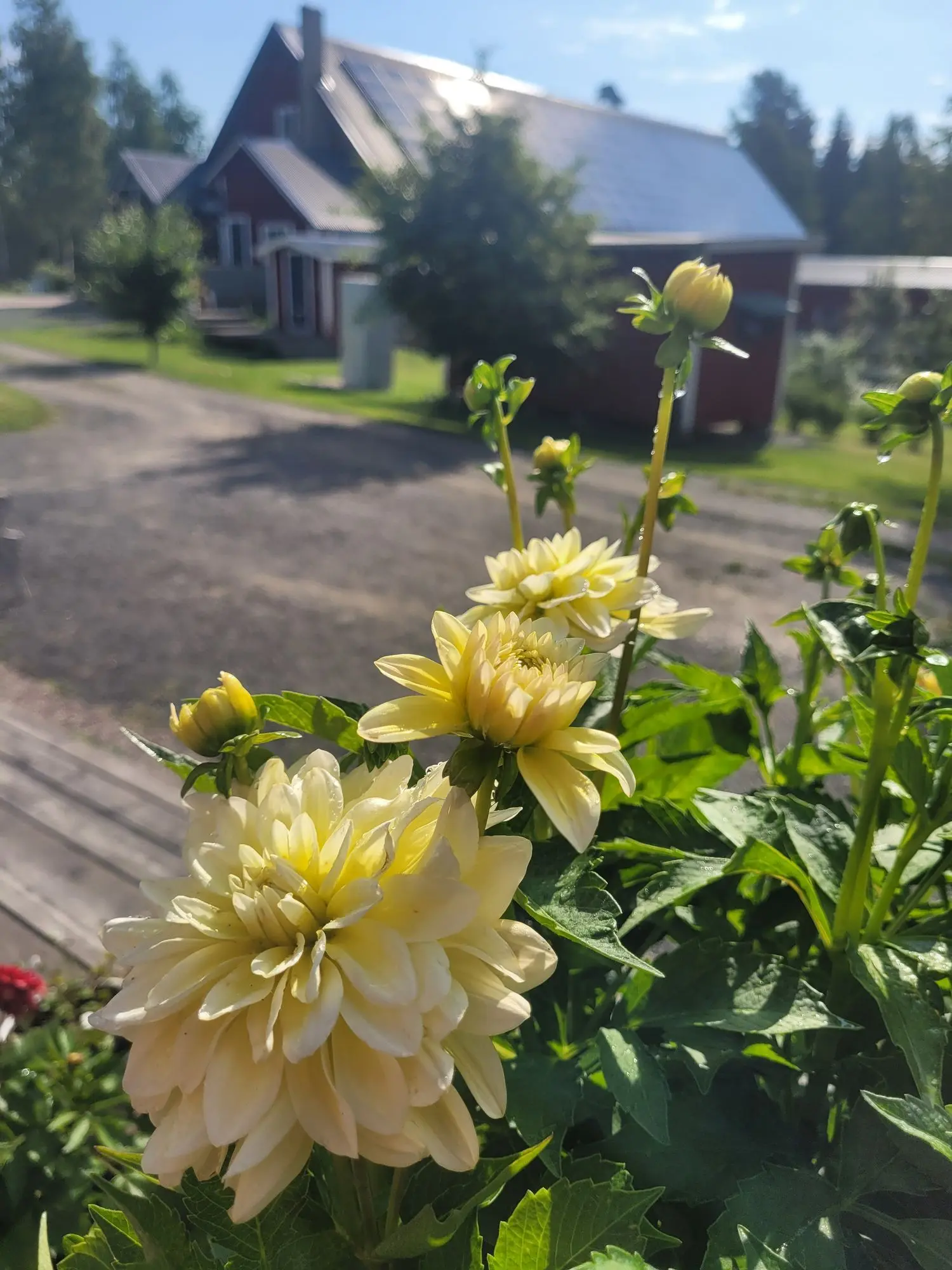 Topperyd Gård photo 3