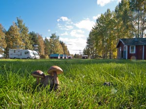 trollforsen-camping