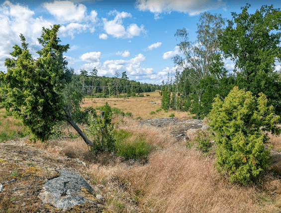Trosa Alpen Ställplats