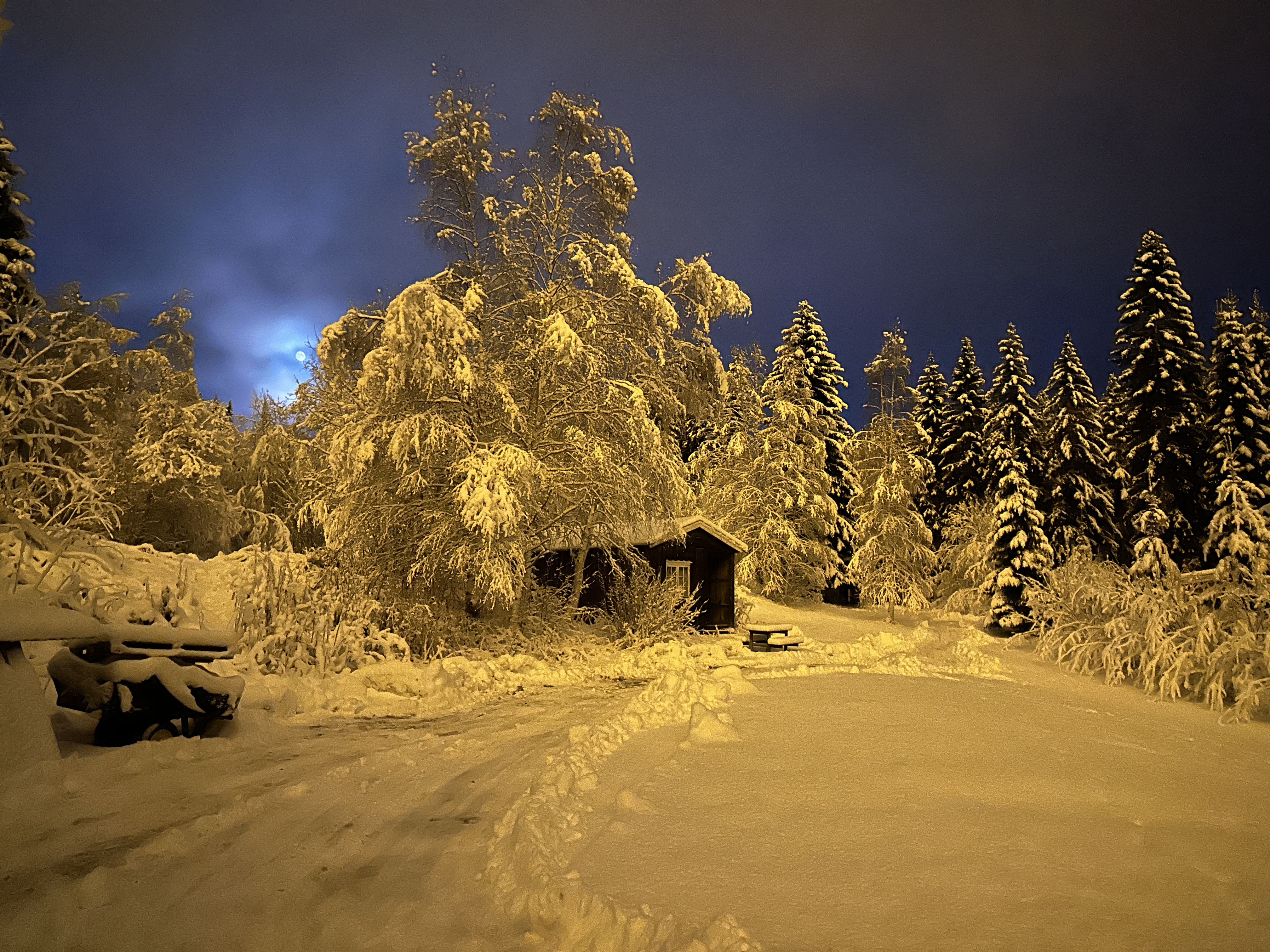 Turifoss Camping photo 4