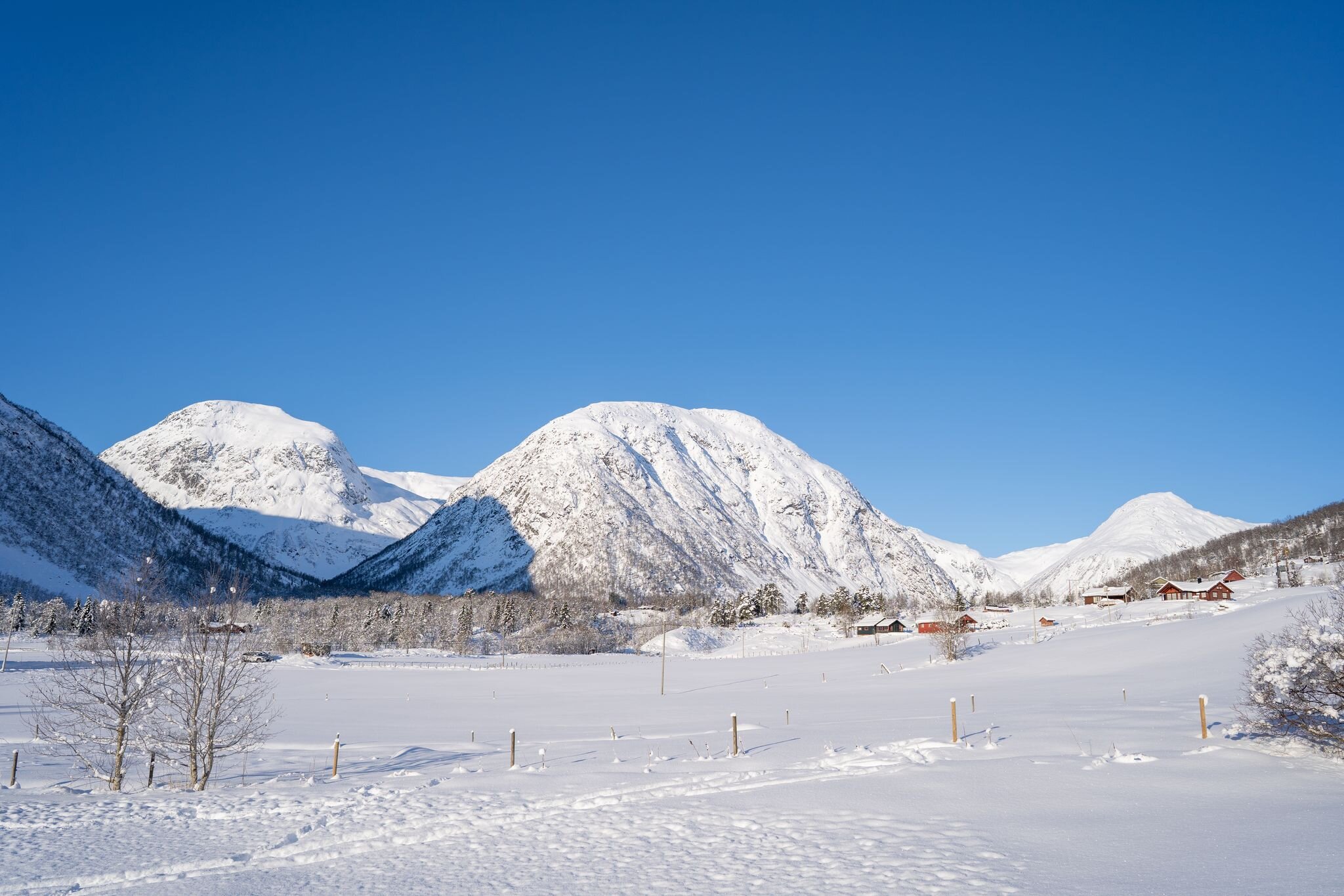 propertyImage