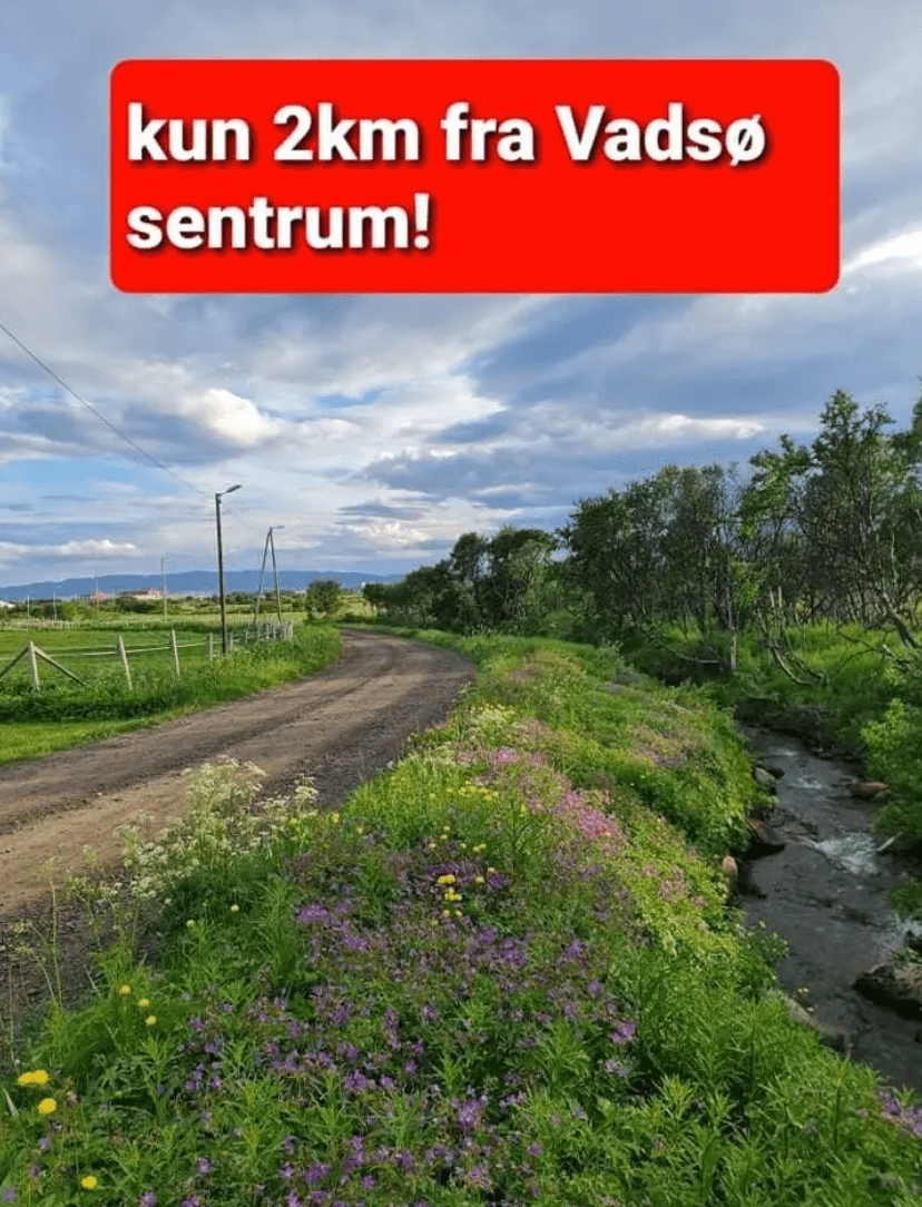 Vadsø Camping photo 3
