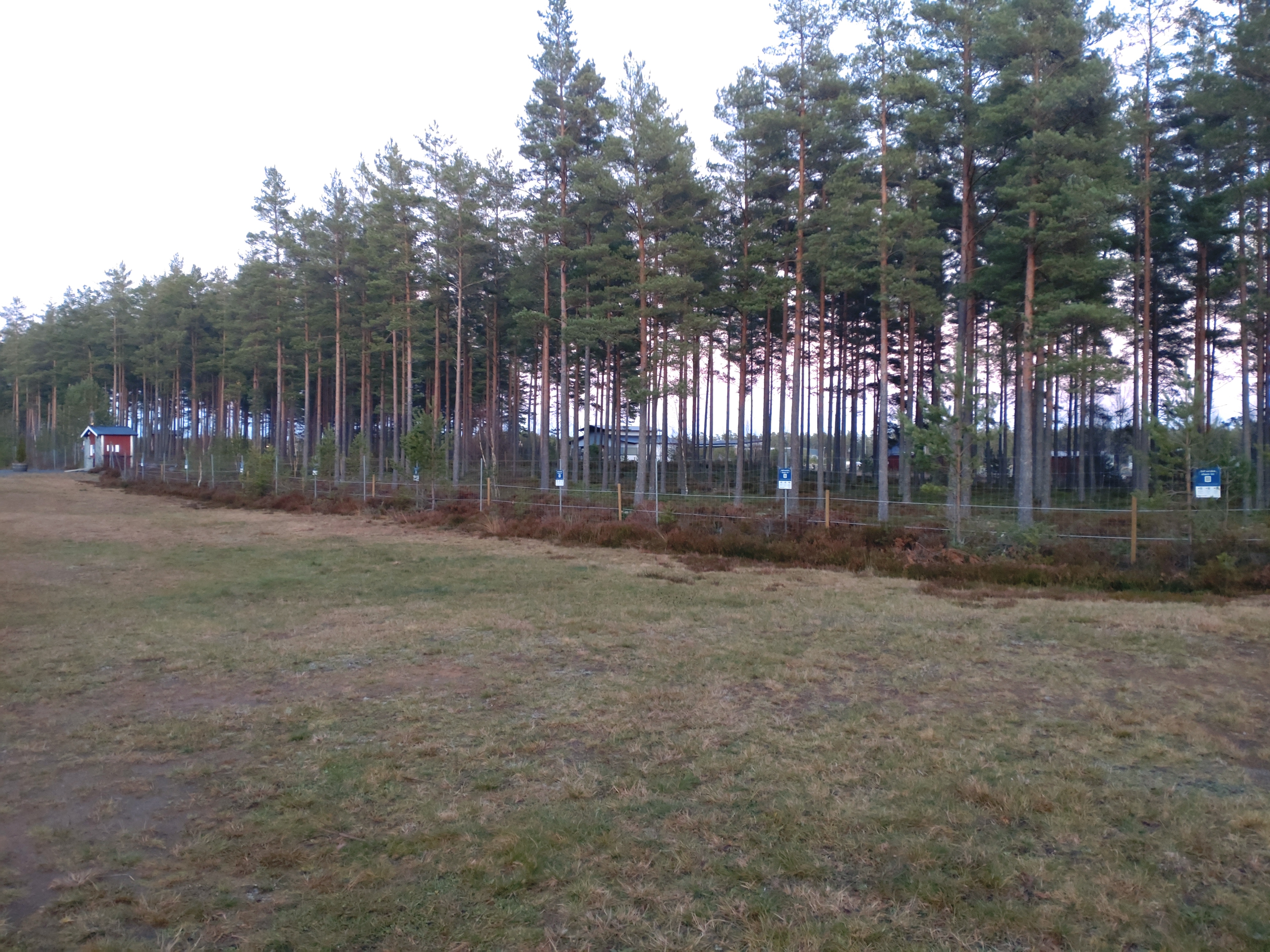 Vaggeryds travet photo 3