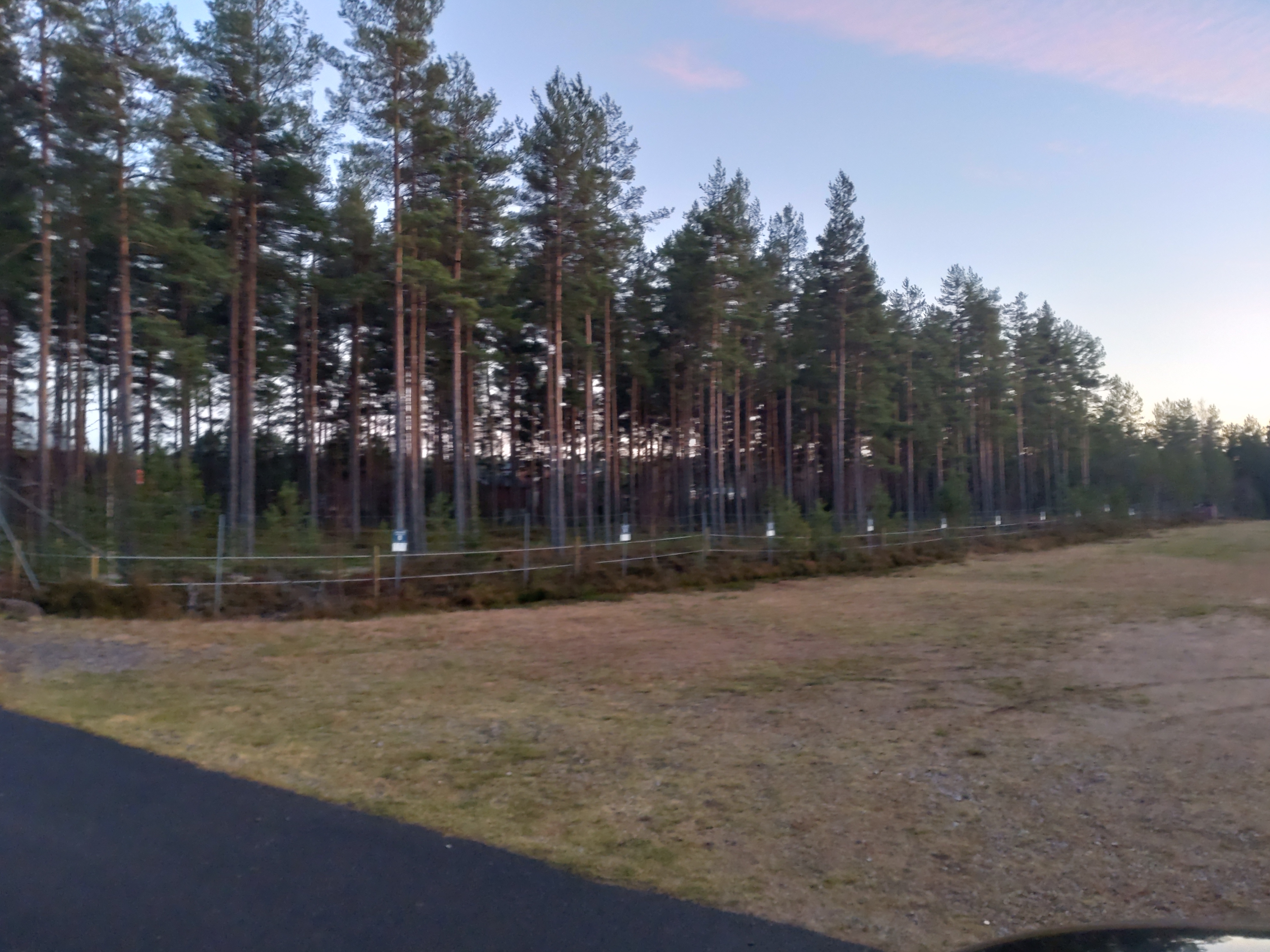 Vaggeryds travet - Photo 3
