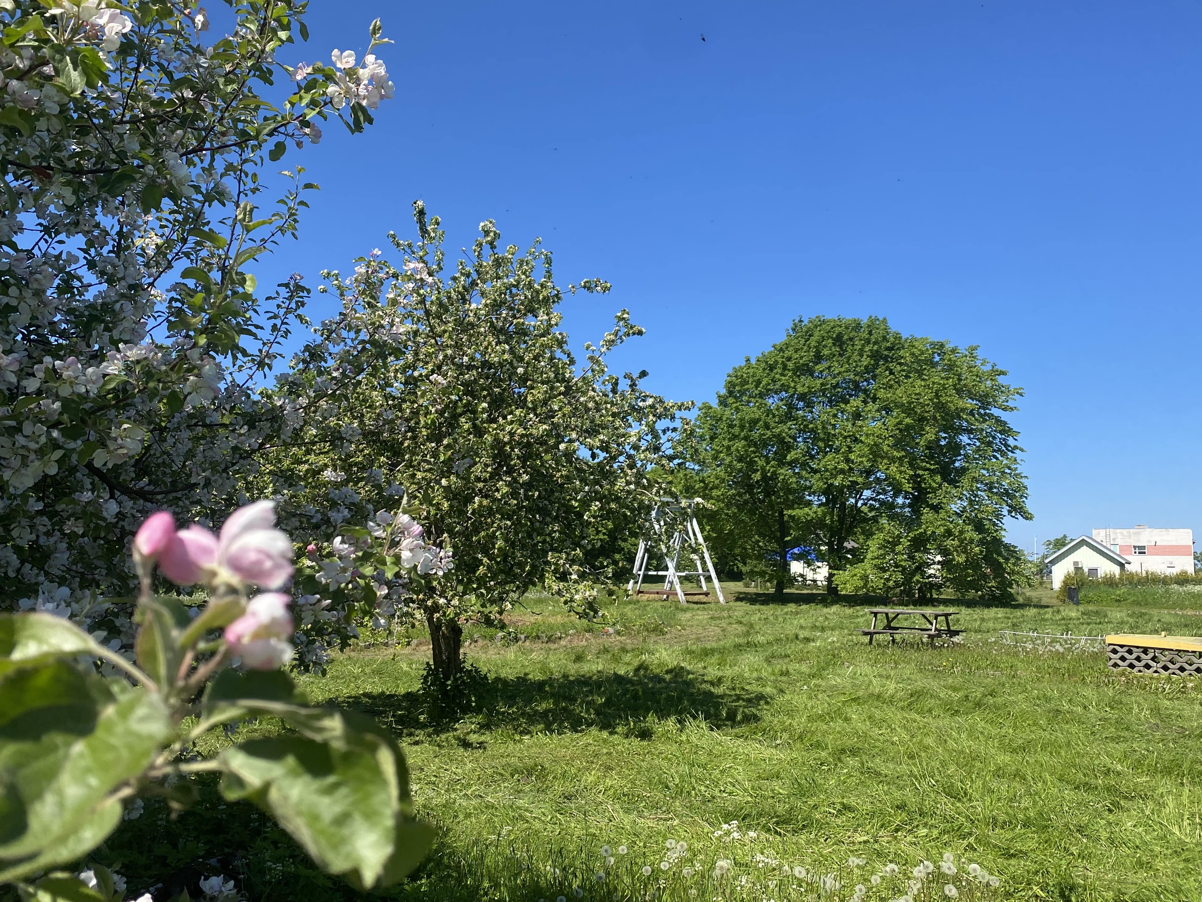 Valaste Puhkeküla photo 5