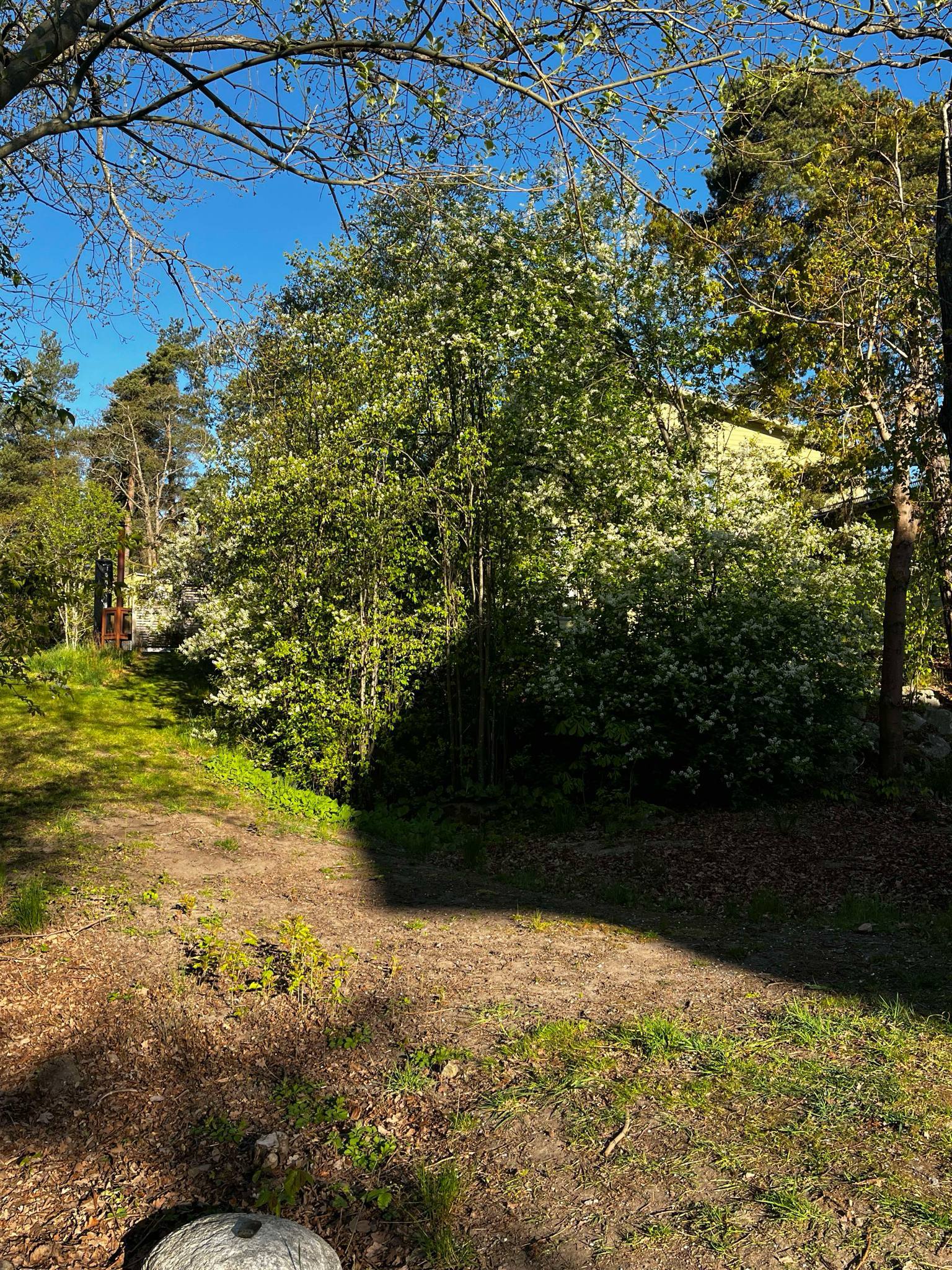 Victors Trädgård photo 4