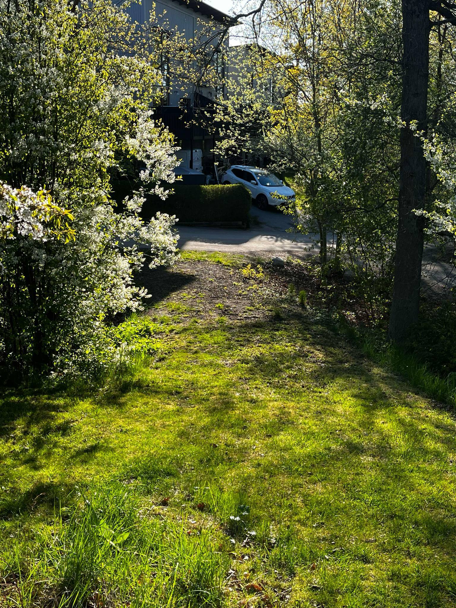 Victors Trädgård
