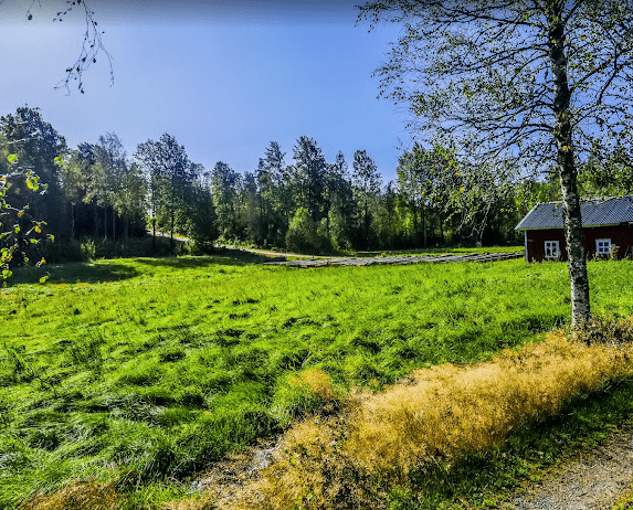 Viking Republic Nature Camp