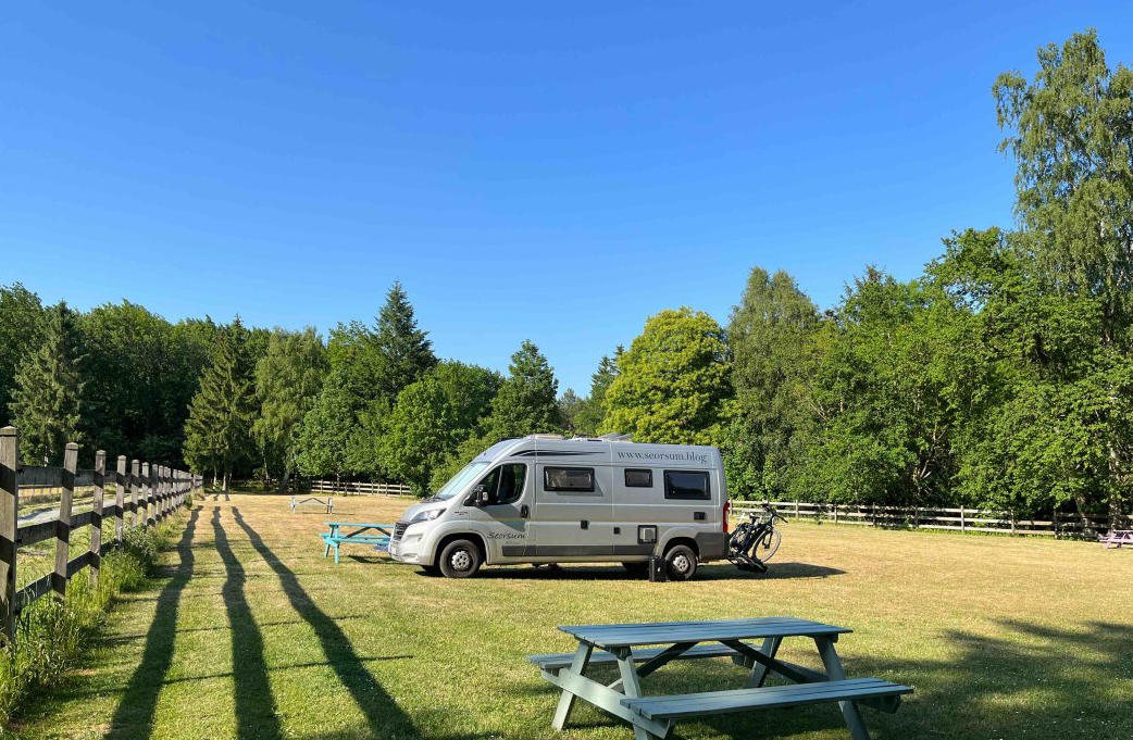 Wüsthof Dammerstorf Camping photo 4